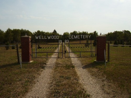 Commonwealth War Grave Wellwood Cemetery #1