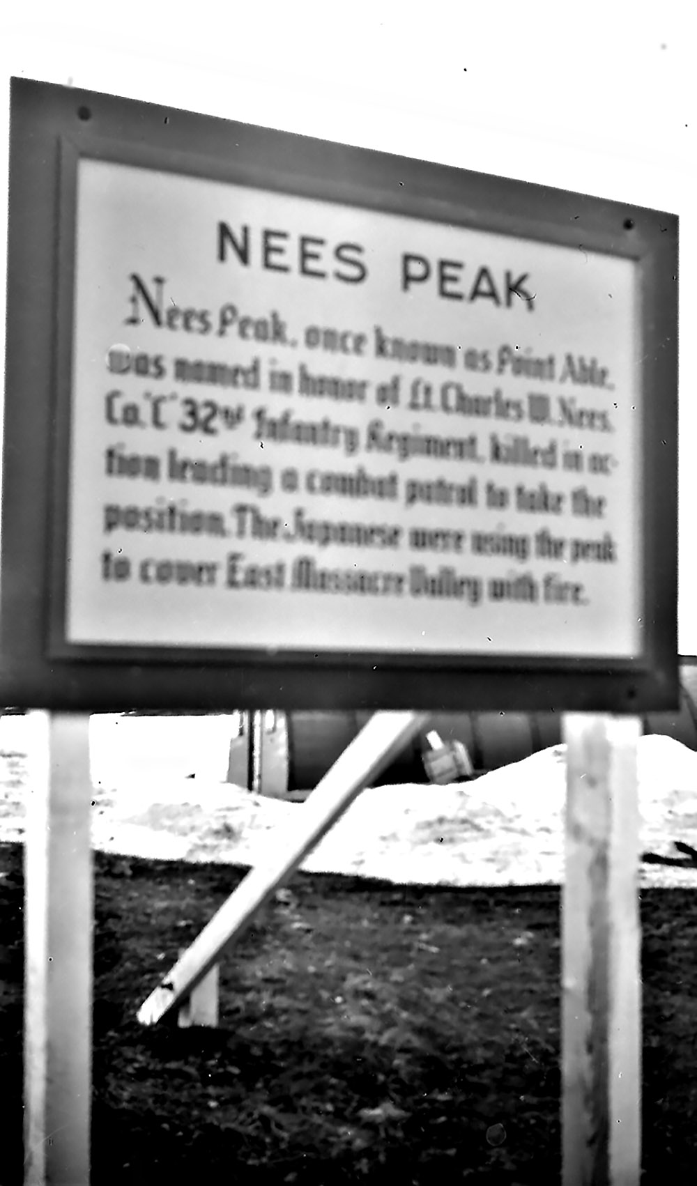 Nees Peak