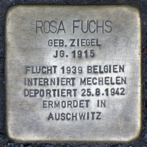 Stolpersteine Greifenhagener Straße 13 #2