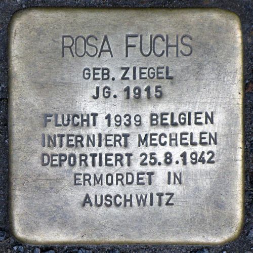 Stolpersteine Greifenhagener Strae 13 #2