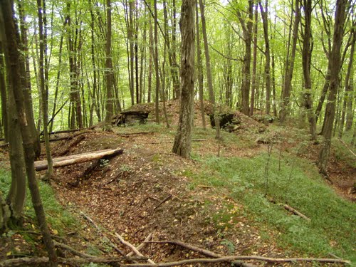 Árpád Line - Trench
