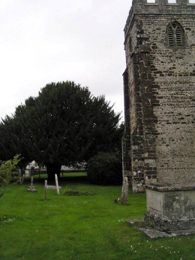 Commonwealth War Grave St. Nicholas Churchyard #1