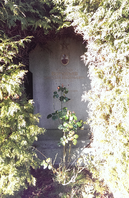 Soviet War Graves Kalksburg #4