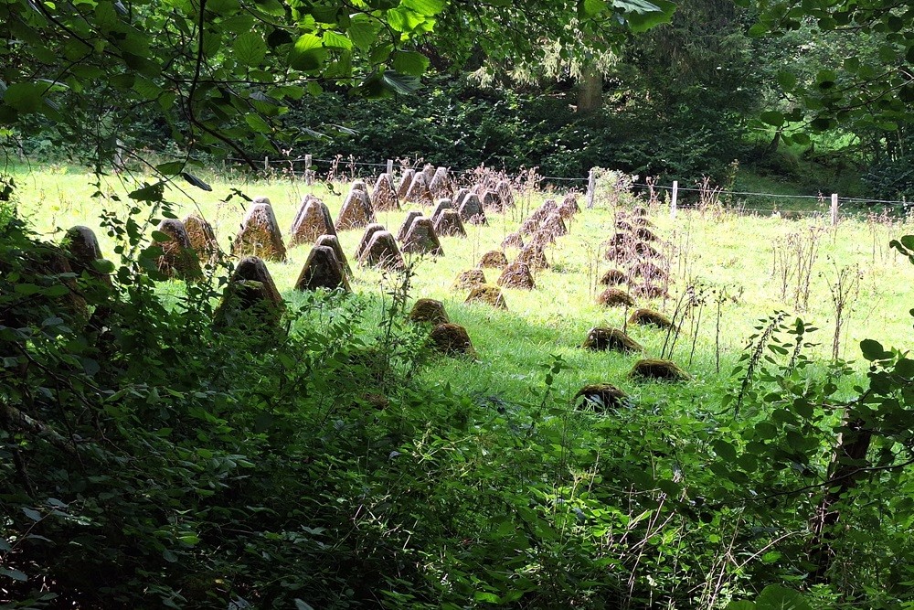 Westwall - Tank Barrier Hollerath #1