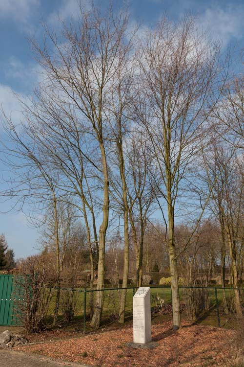 Jewish Memorial Nieuwenhagen #3