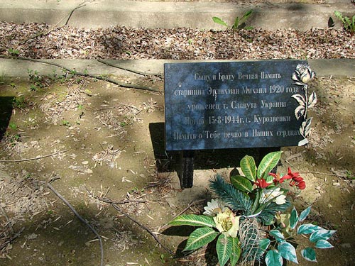 Russian-Austrian War Cemetery Iwaniska #4