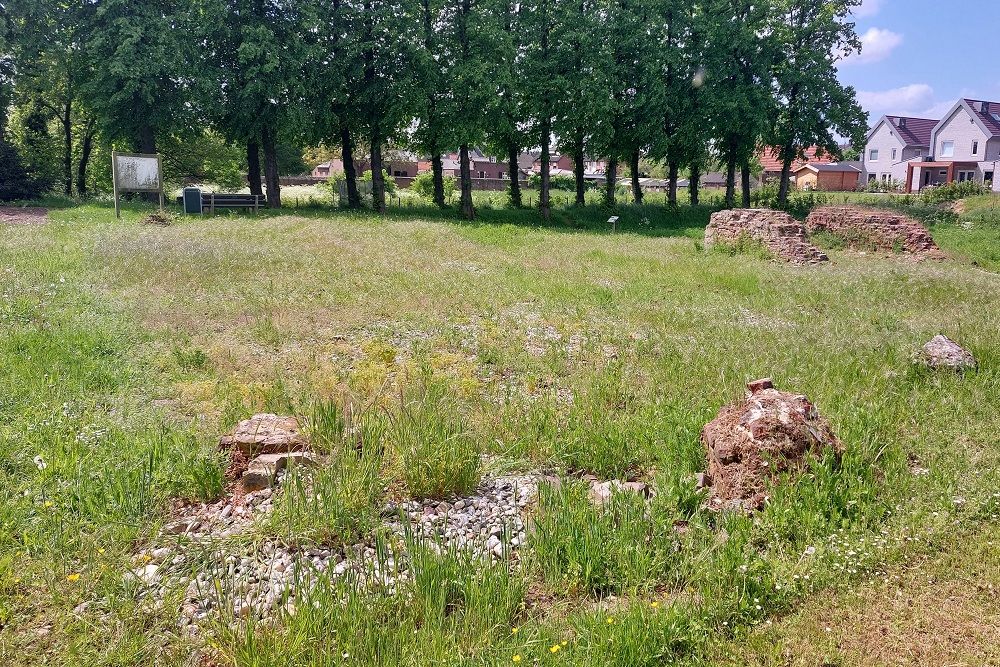 Castle Ruin Blitterswijck #2