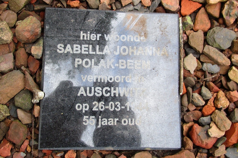 Memorial Stone Scheltemalaan 5 #1