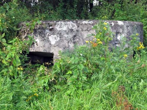 German Pillbox Mayakovskoye