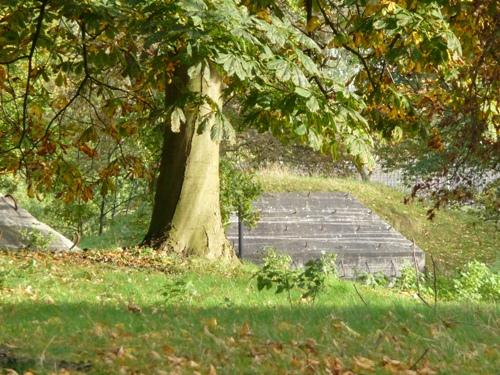 Group Shelter Type P Fort Blauwkapel #1