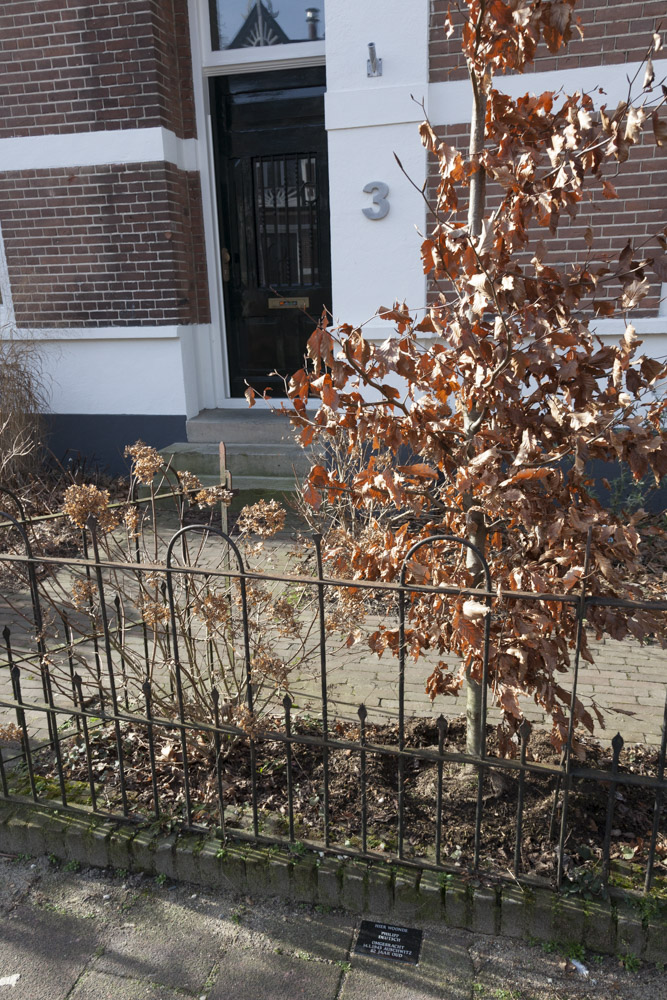 Memorial Stone Bas Backerlaan 3 #2