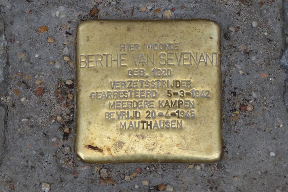Stolperstein Westmeers 100 #1