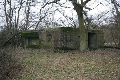 Pillbox FW3/28 Tidmarsh #1