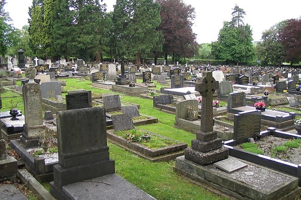 Oorlogsgraven van het Gemenebest Rhydgoch Cemetery #1