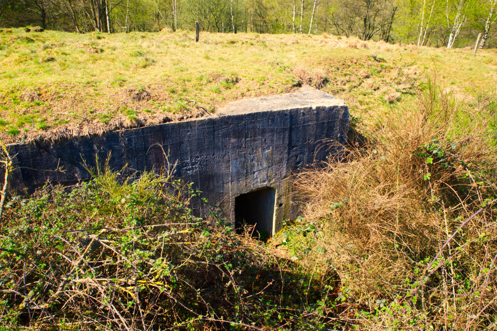 Bunker RAD Lager Kohlbusch #3