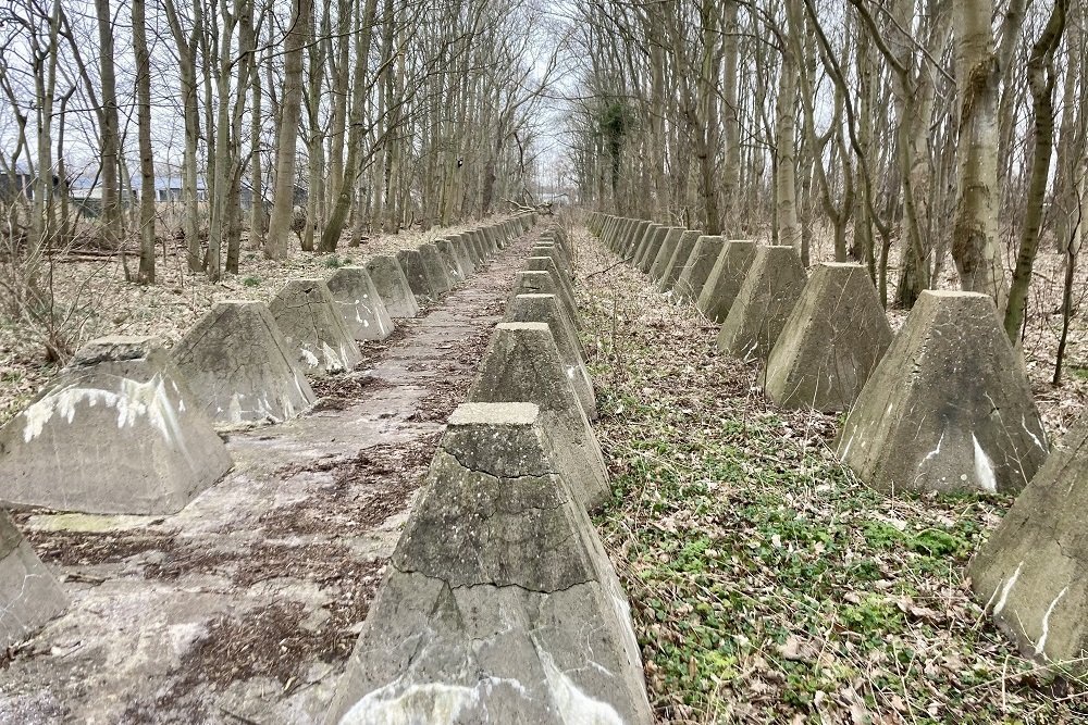 Dragon's Teeth Barrier Groot Valkenisse #2