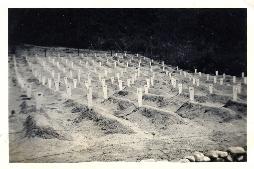 Cemetery for North Korean and Chinese Soldiers #2