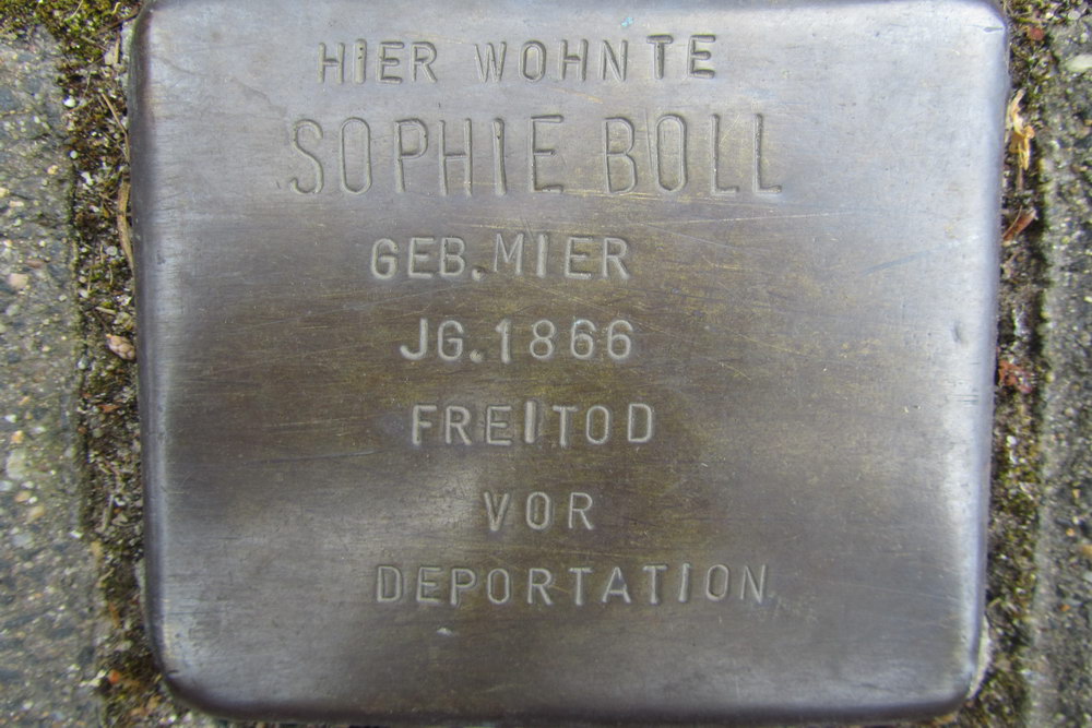 Stumbling Stone Mathias-Schleiden-Straße 11