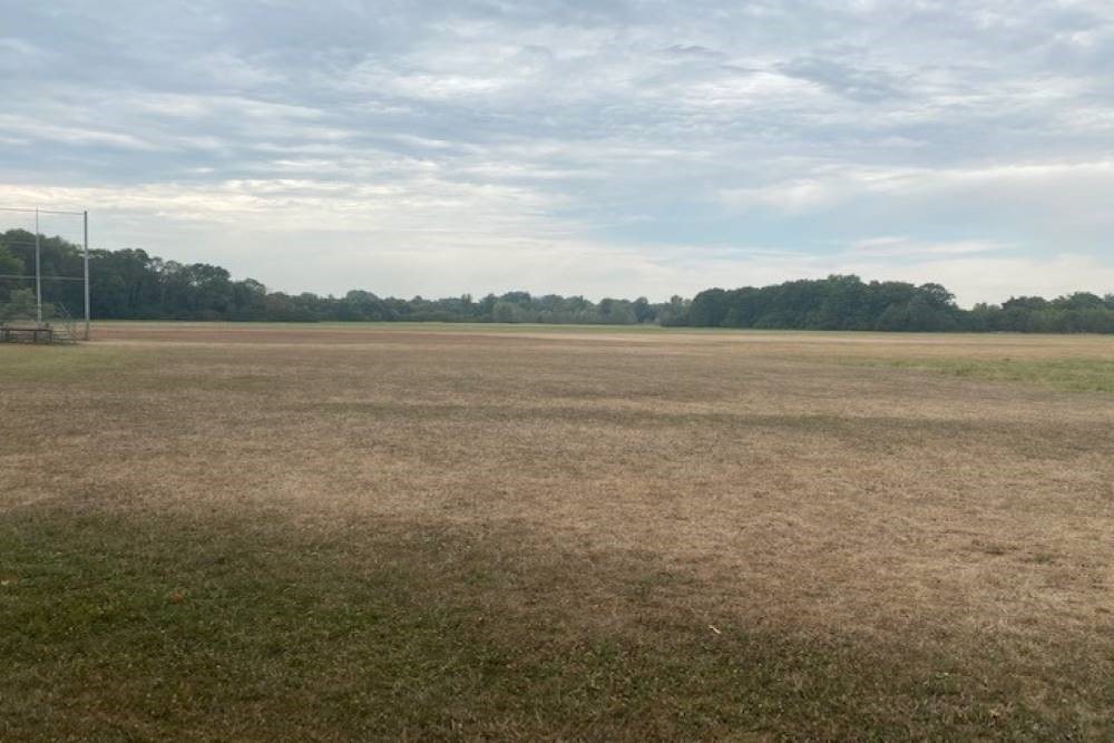 Former Military Airport Worms #2
