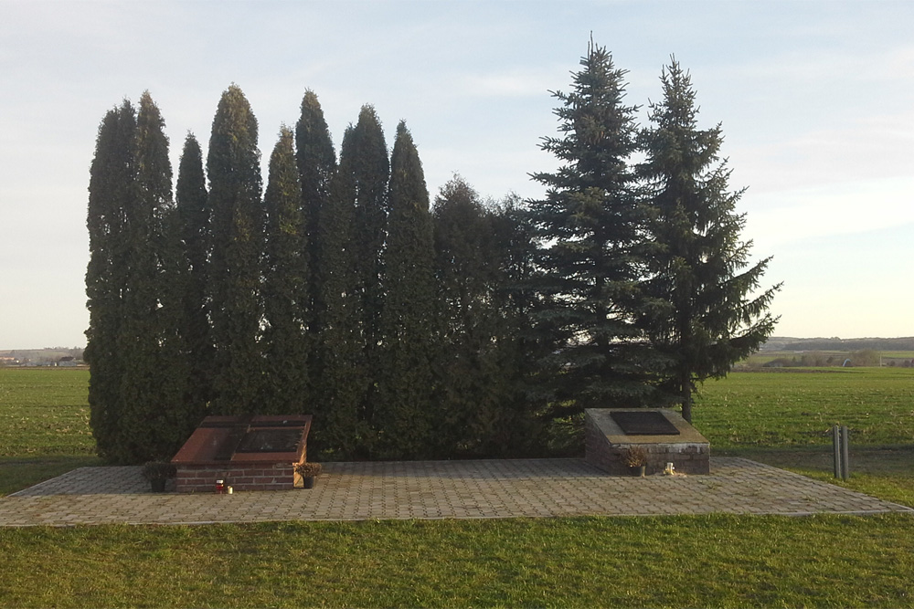 Polish War Cemetery Wolica Sniatycka #1