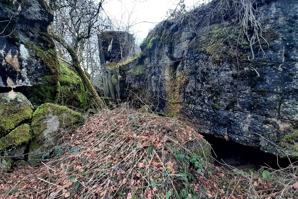 Bunker nr. 18 Vogelsang #3