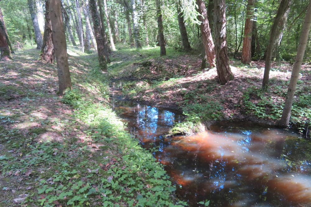 Trench Carpathians Saint-Baussant #3