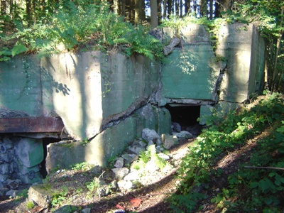 Westwall - Bunker Nr. 59 Simonskall #5