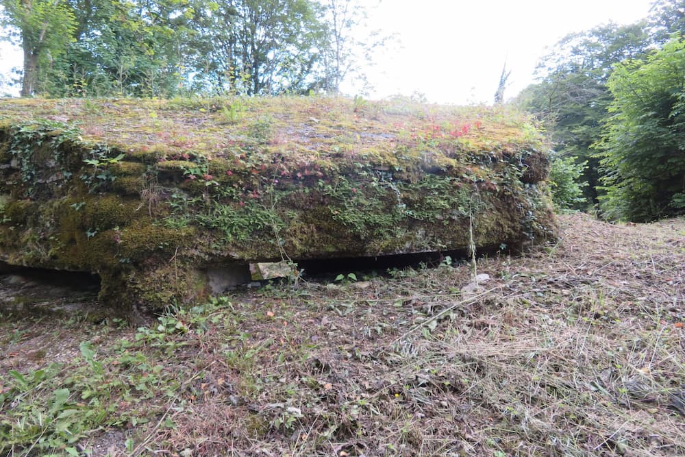Bunker Haumont-près-Samogneux #4