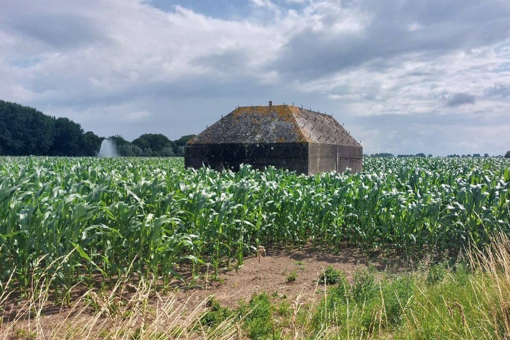 Group Shelter Type P Vechten #3