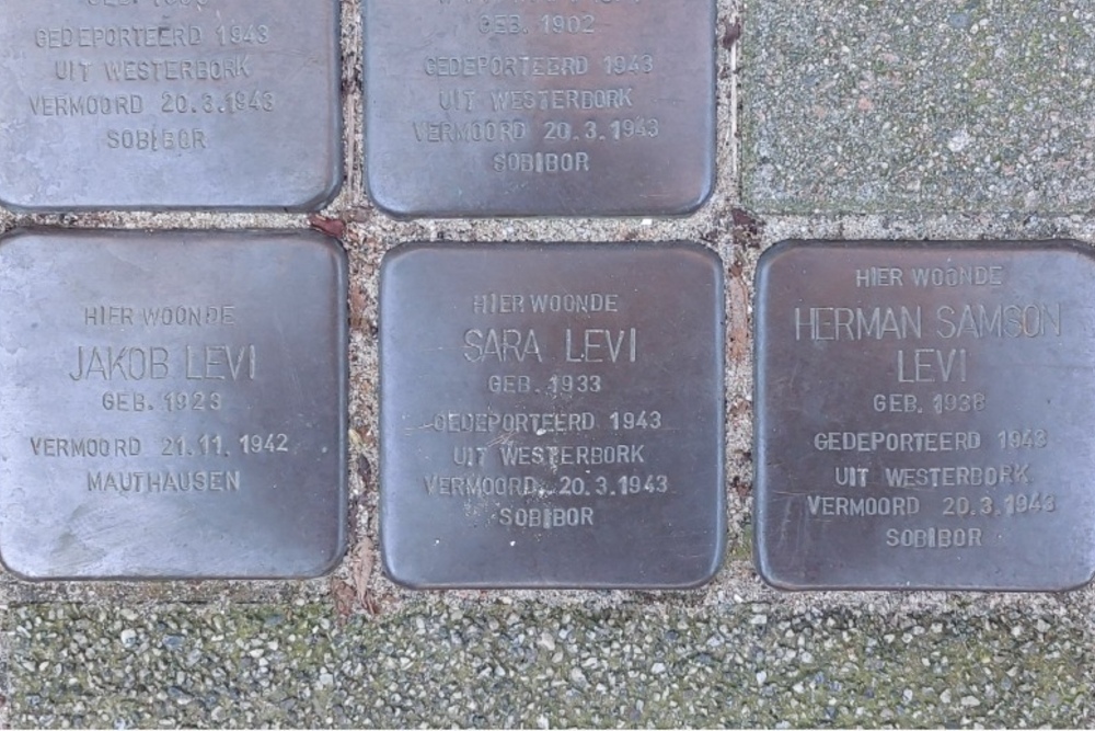 Stumbling Stones Van Vlooswijkstraat 9b #4