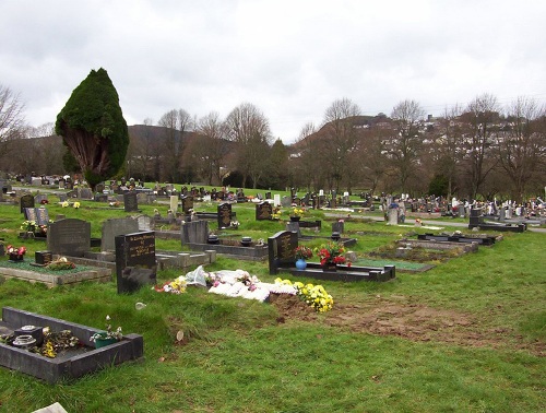 Oorlogsgraven van het Gemenebest Cefn-y-Parc Cemetery #1