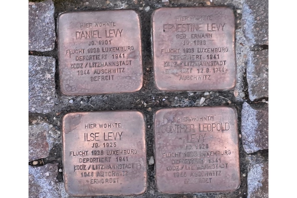 Stolpersteine Neuerburger Strae 38 #1