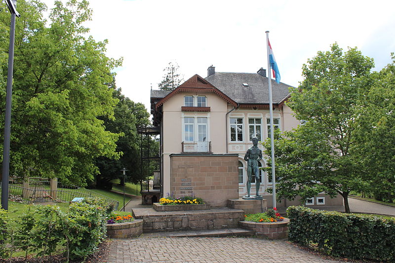 Oorlogsmonument Wiltz #1