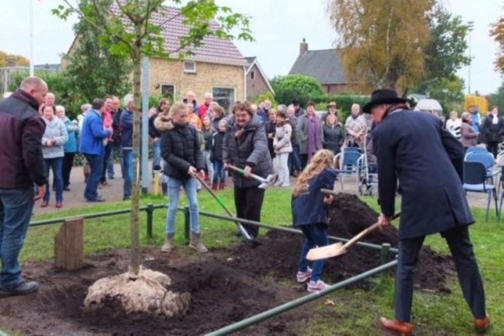 Liberation Tree Westerbroek