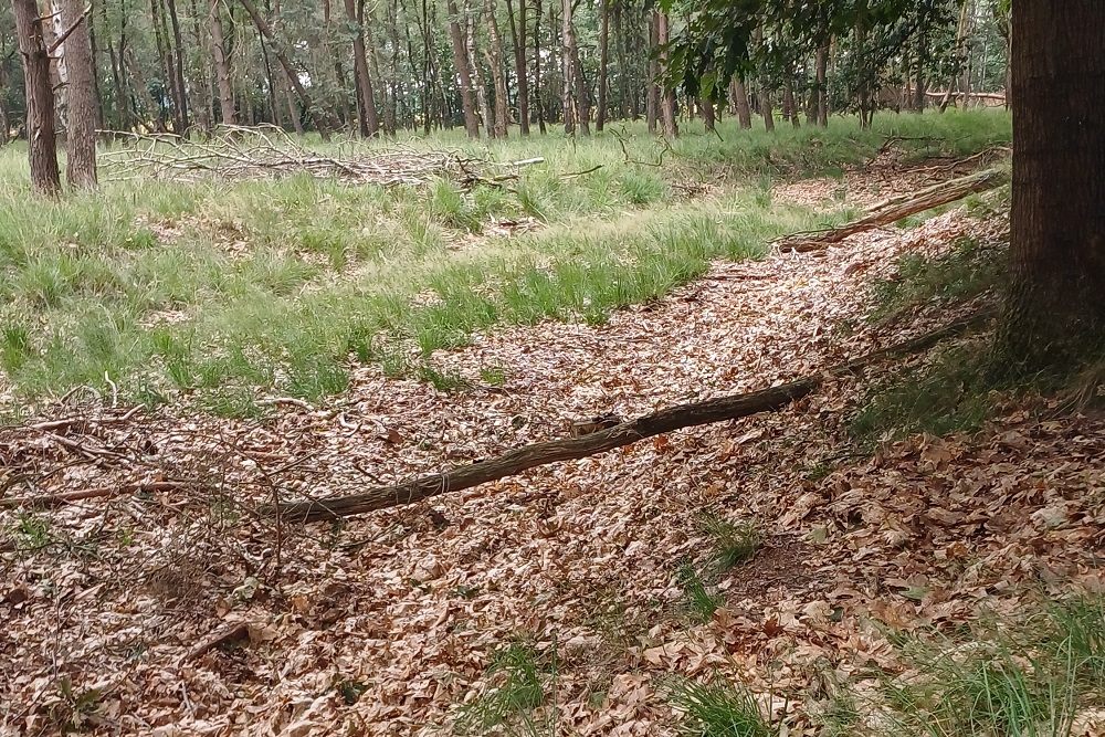 Fliegerhorst Deelen: Embankment Bomb Line