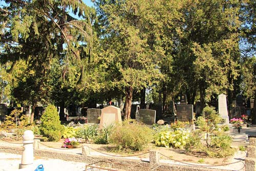 Mass Grave Soviet Soldiers Mnchendorf