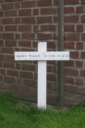 Monument Harry Traast #1