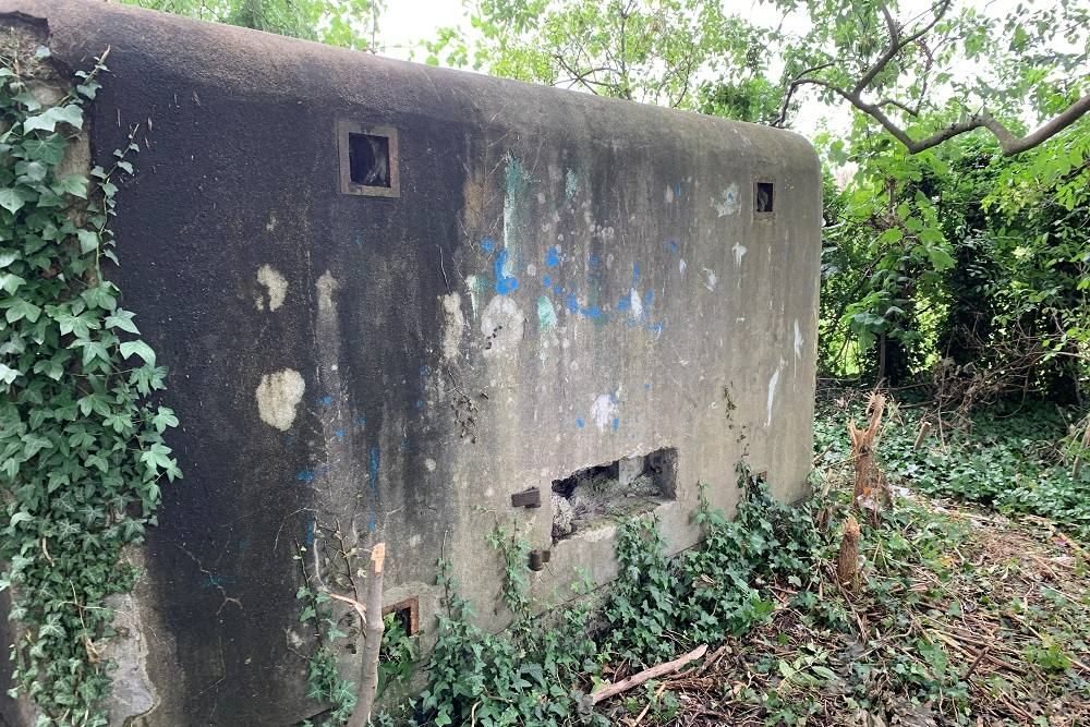 Defense Bunker Vi3 #3