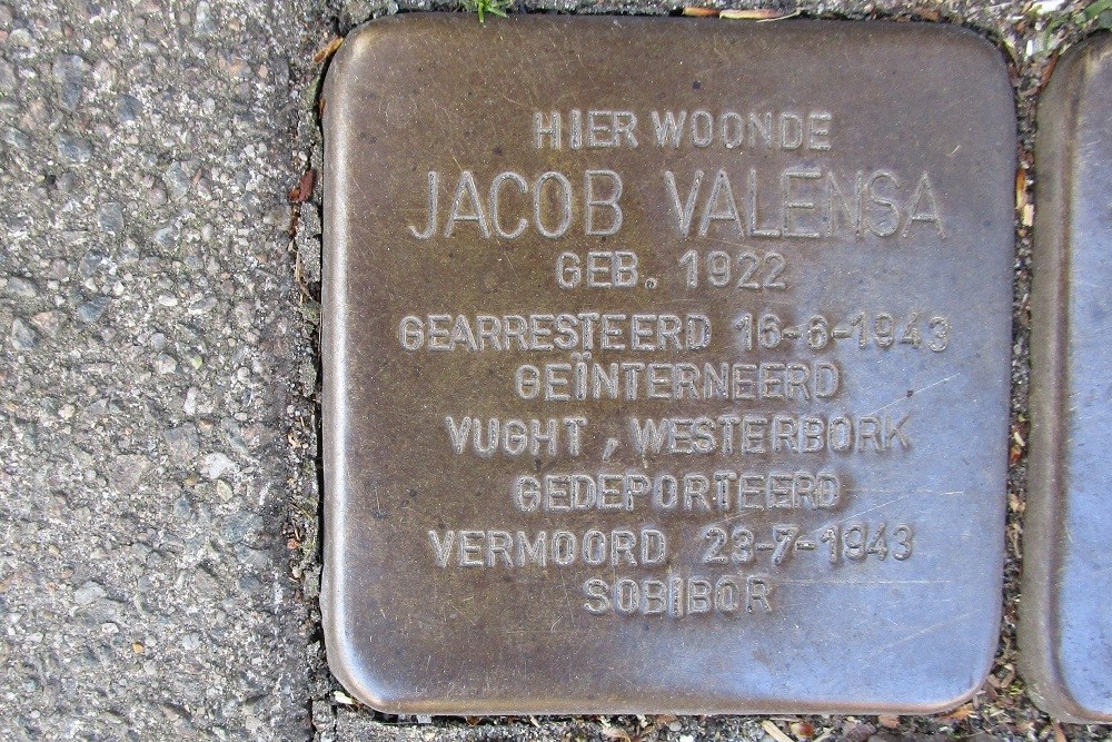 Stolpersteine Krugerstraat 13 #2