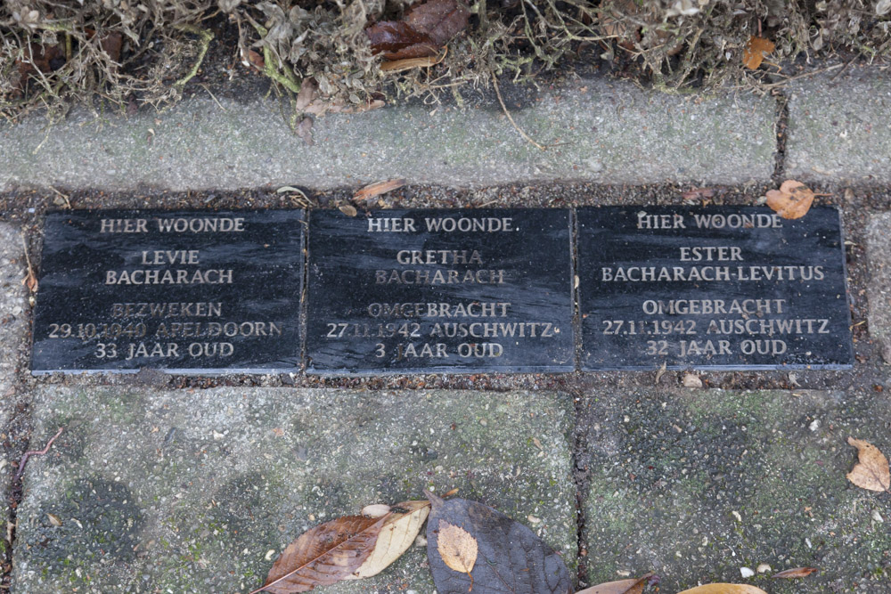 Memorial Stones Abrikozenweg 23 #1