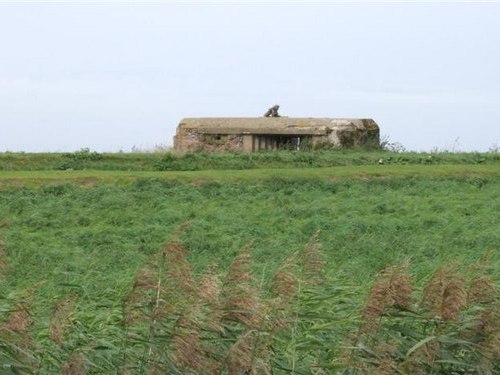 Bunker FW3/28A Benwick #2