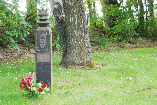 Memorial Lieutenant-General József Heszlényi #1