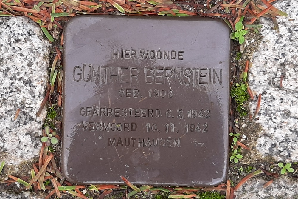 Stolperstein Van Bergen IJzerdoornpark 9