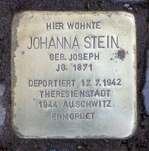 Stumbling Stone Emser Straße 17a #1