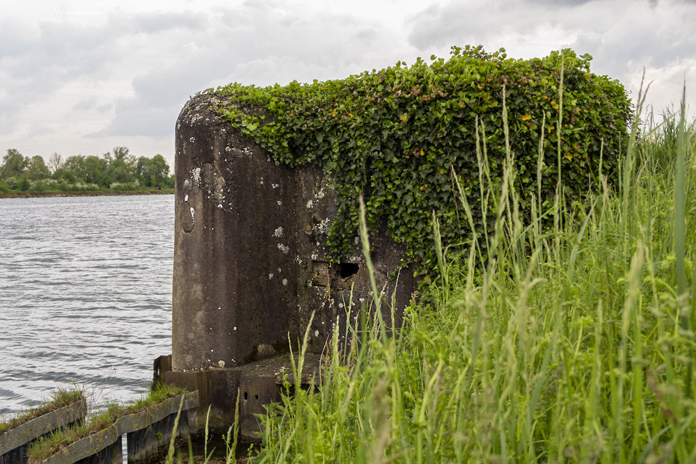 Bunker 54 Grensstelling Zuid-Willemsvaart #2