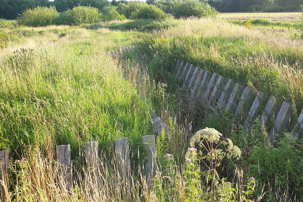 Gereconstrueerde Infanterie Groepsnest Ruigenhoek