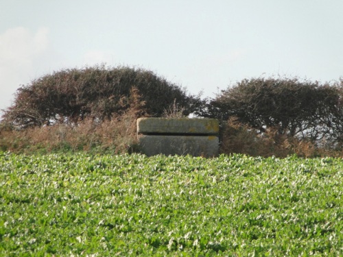 Suffolk Square Pillbox Benacre #3