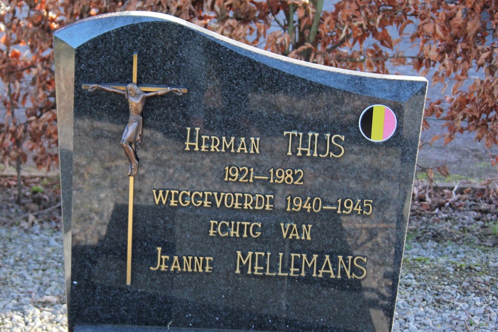 Belgian Graves Veterans Kortebos Sint-Truiden #2