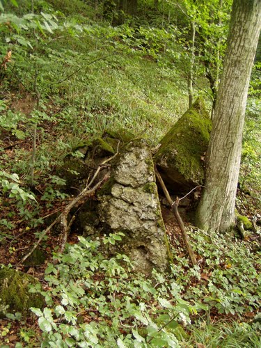 Árpád Line - Tank Barrier