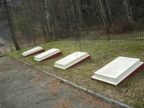 Sovjet Oorlogsbegraafplaats Bojano (Głodowo) #5